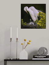 Hello Mom Poster och Canvastavla
