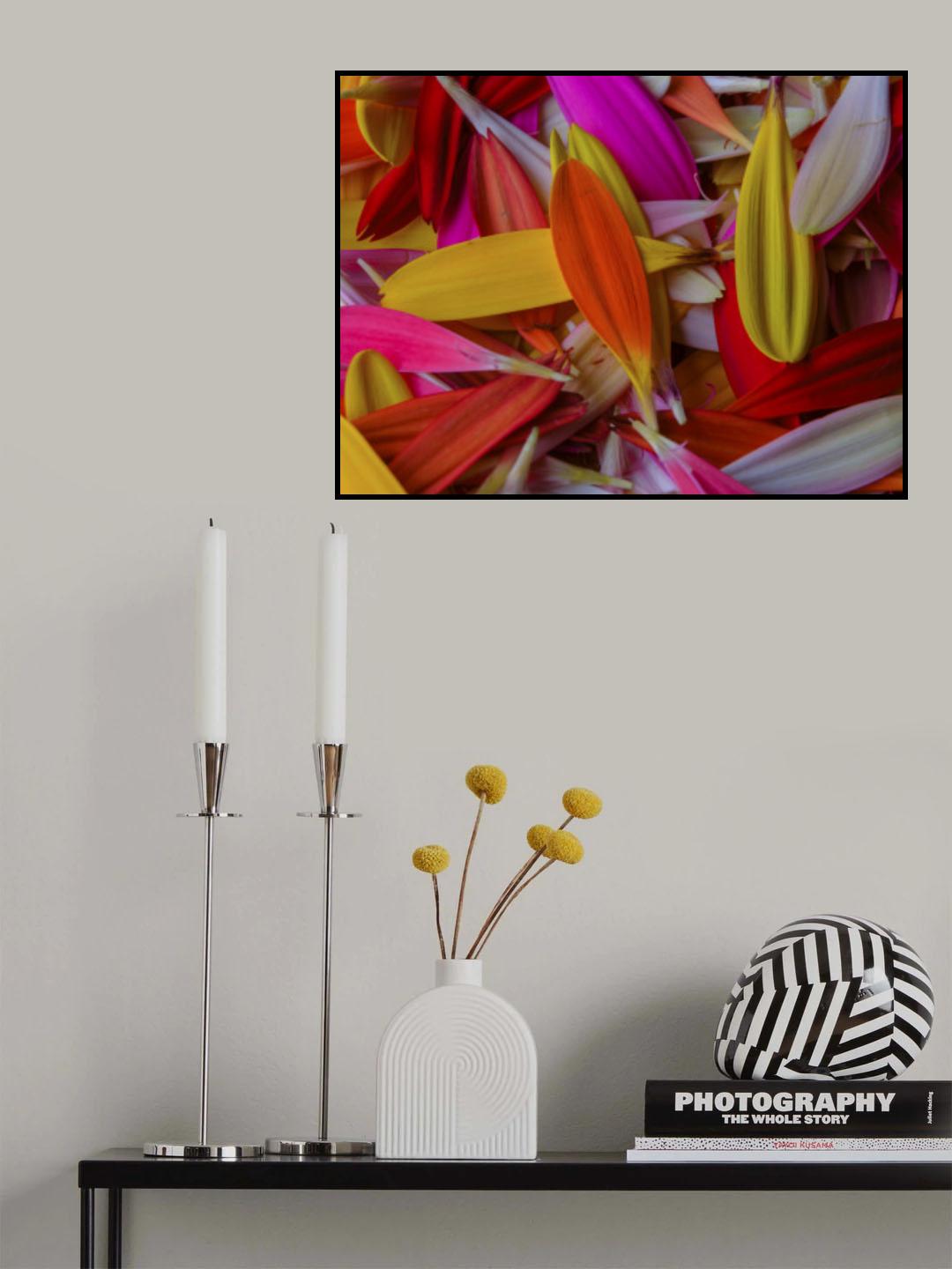 colorful flower petals Poster och Canvastavla
