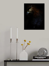 Eagle portrait Poster och Canvastavla