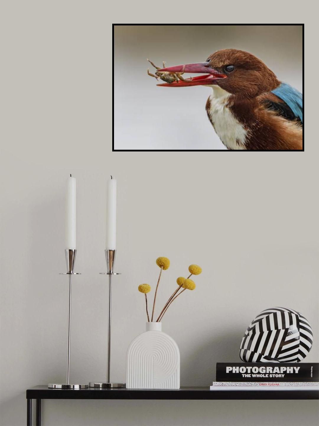 small crab Poster och Canvastavla