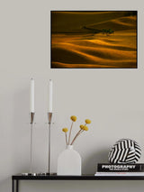 Golden Field Lonely Tree Poster och Canvastavla