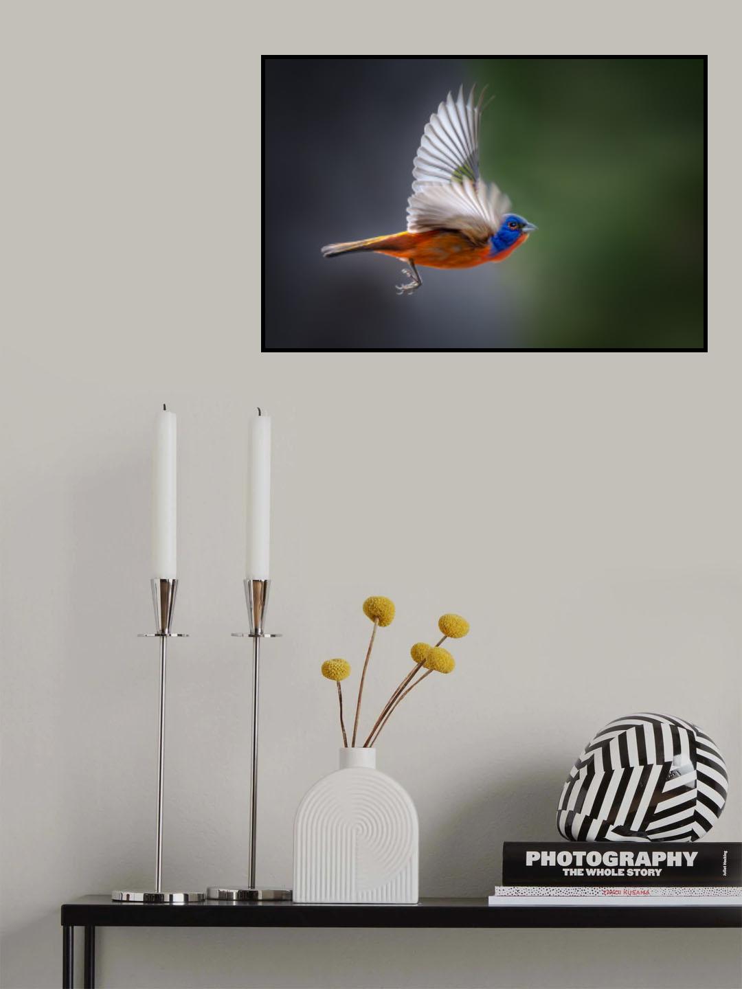 Vibrant Wings Poster och Canvastavla