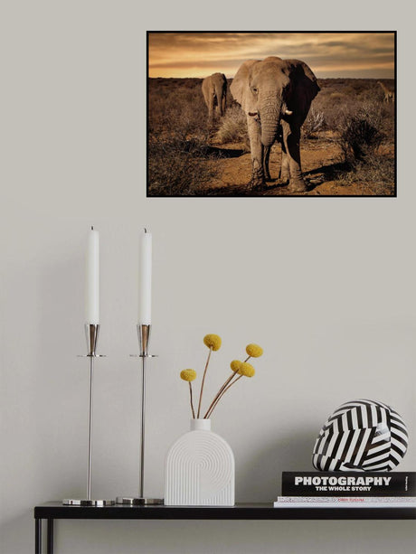 Big Poster och Canvastavla