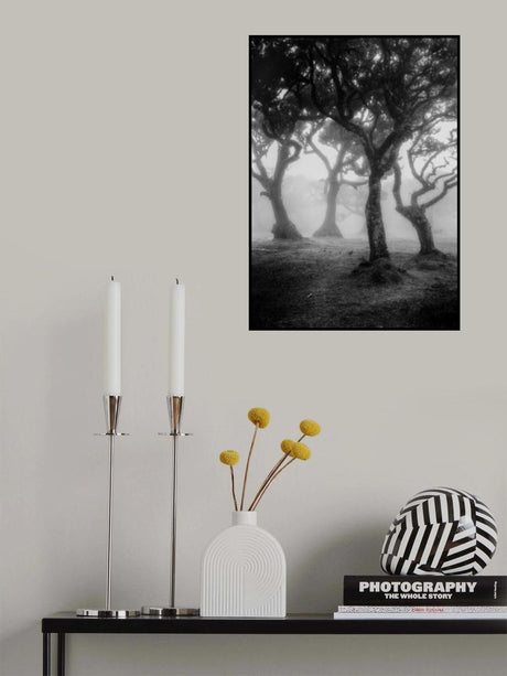 Fanal 03 Poster och Canvastavla