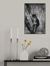 summer rain Poster och Canvastavla
