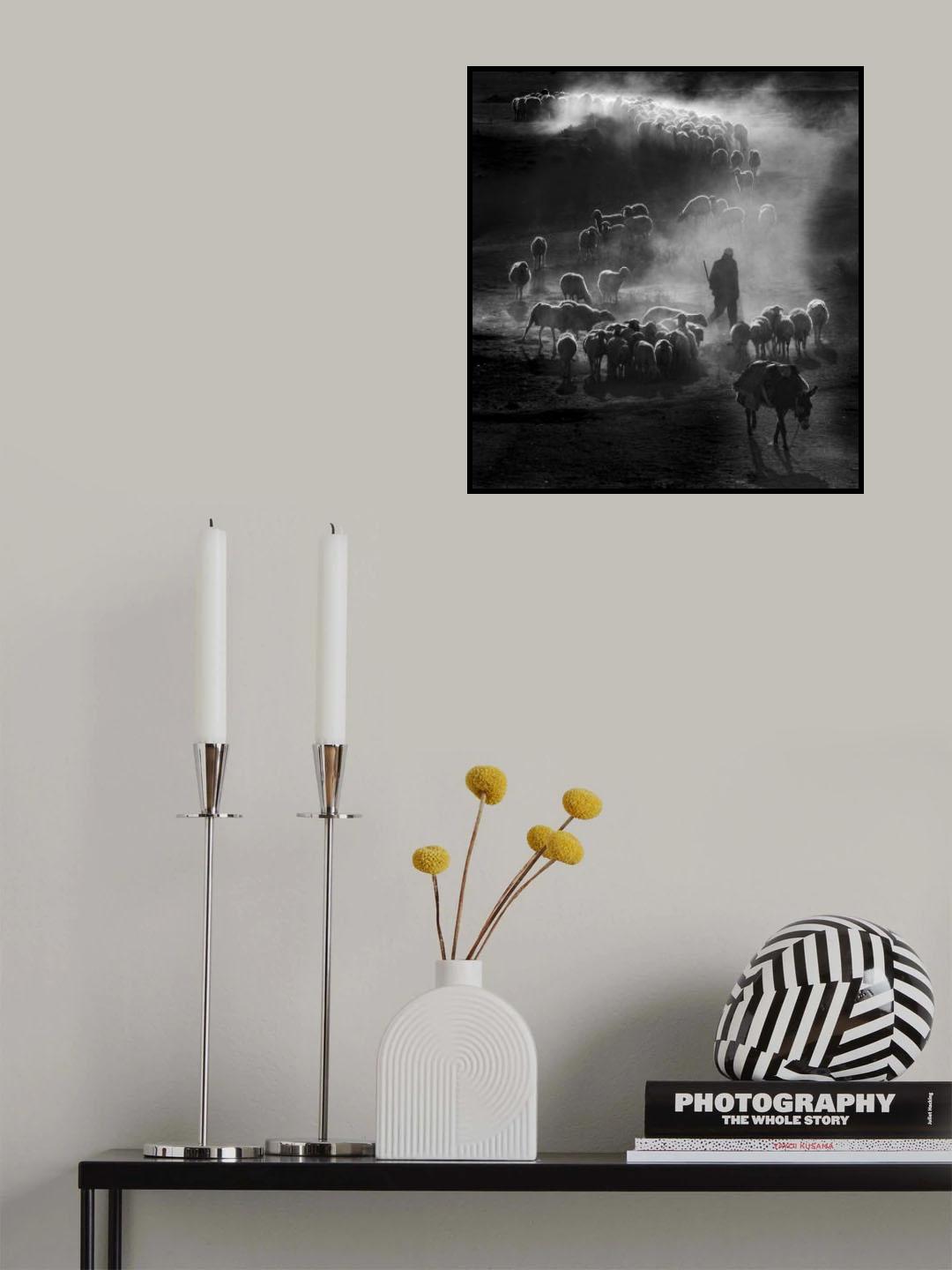 Herd Poster och Canvastavla