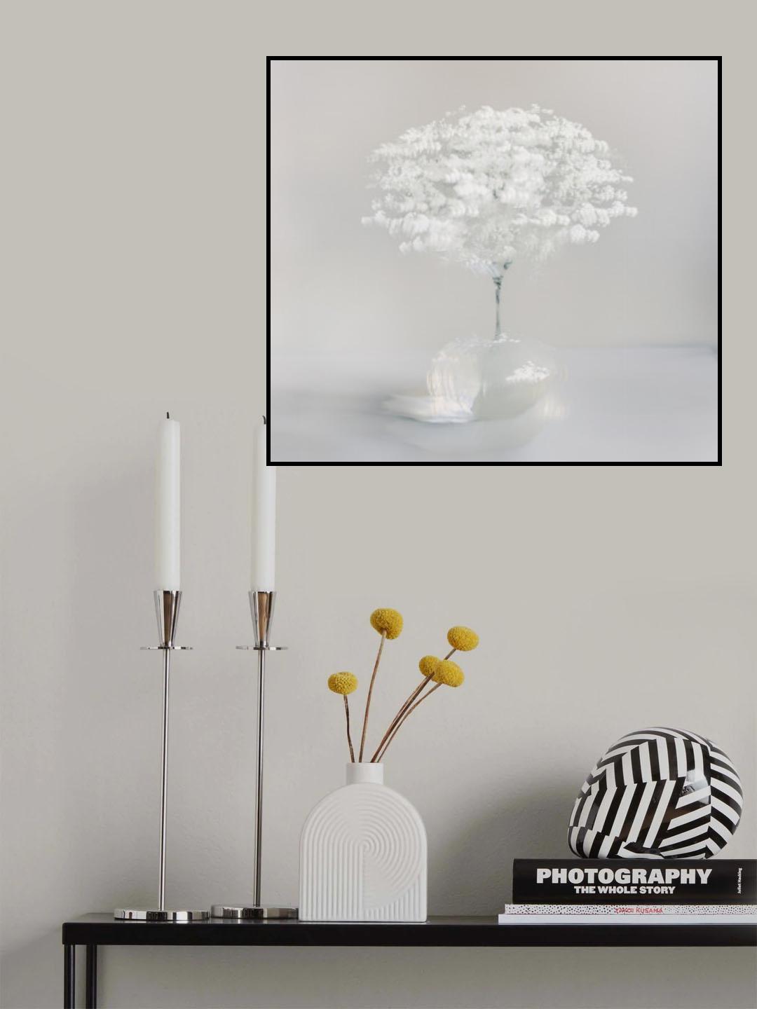 Innocent white Poster och Canvastavla