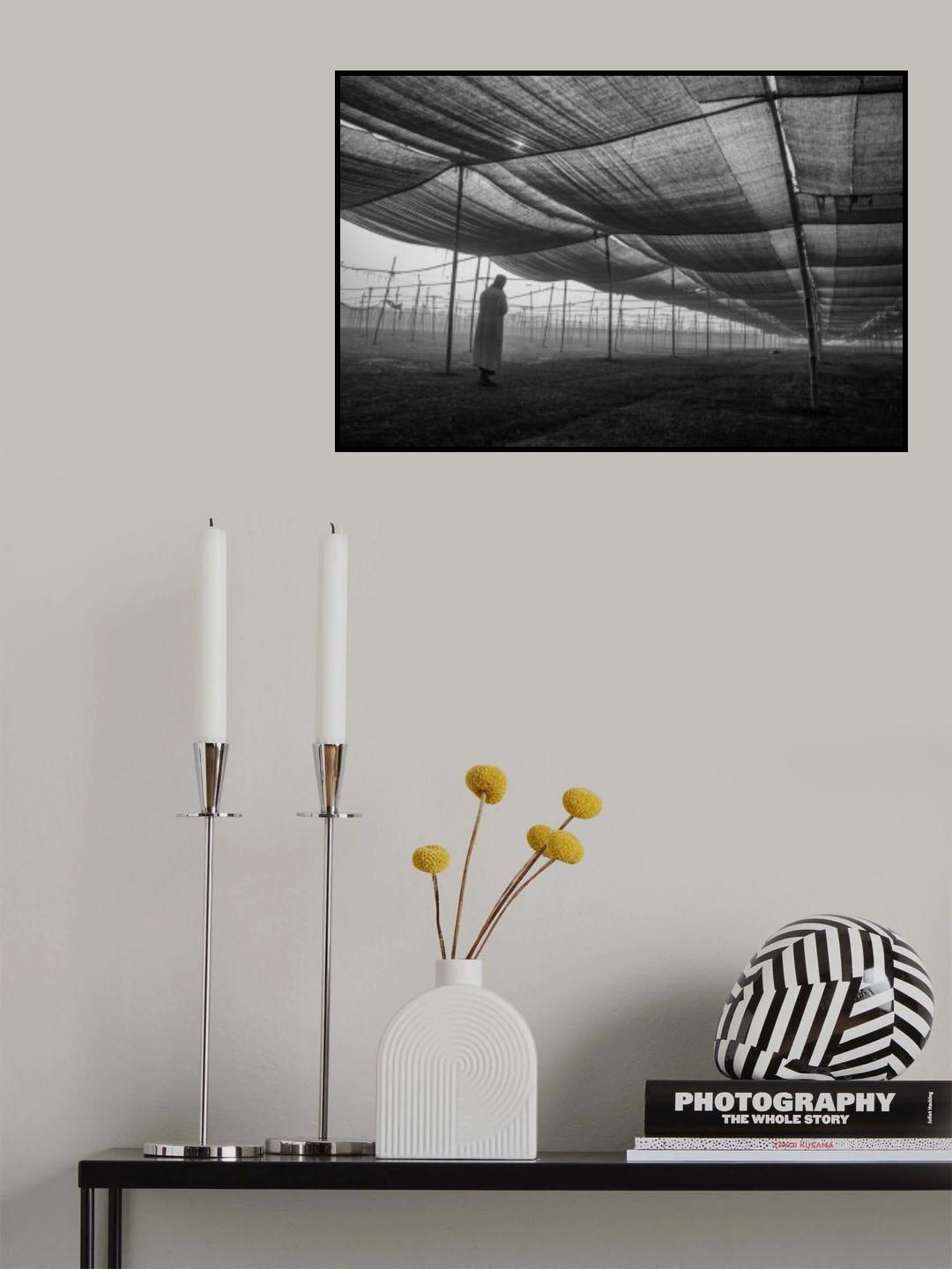 Devotion Poster och Canvastavla