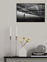 Devotion Poster och Canvastavla