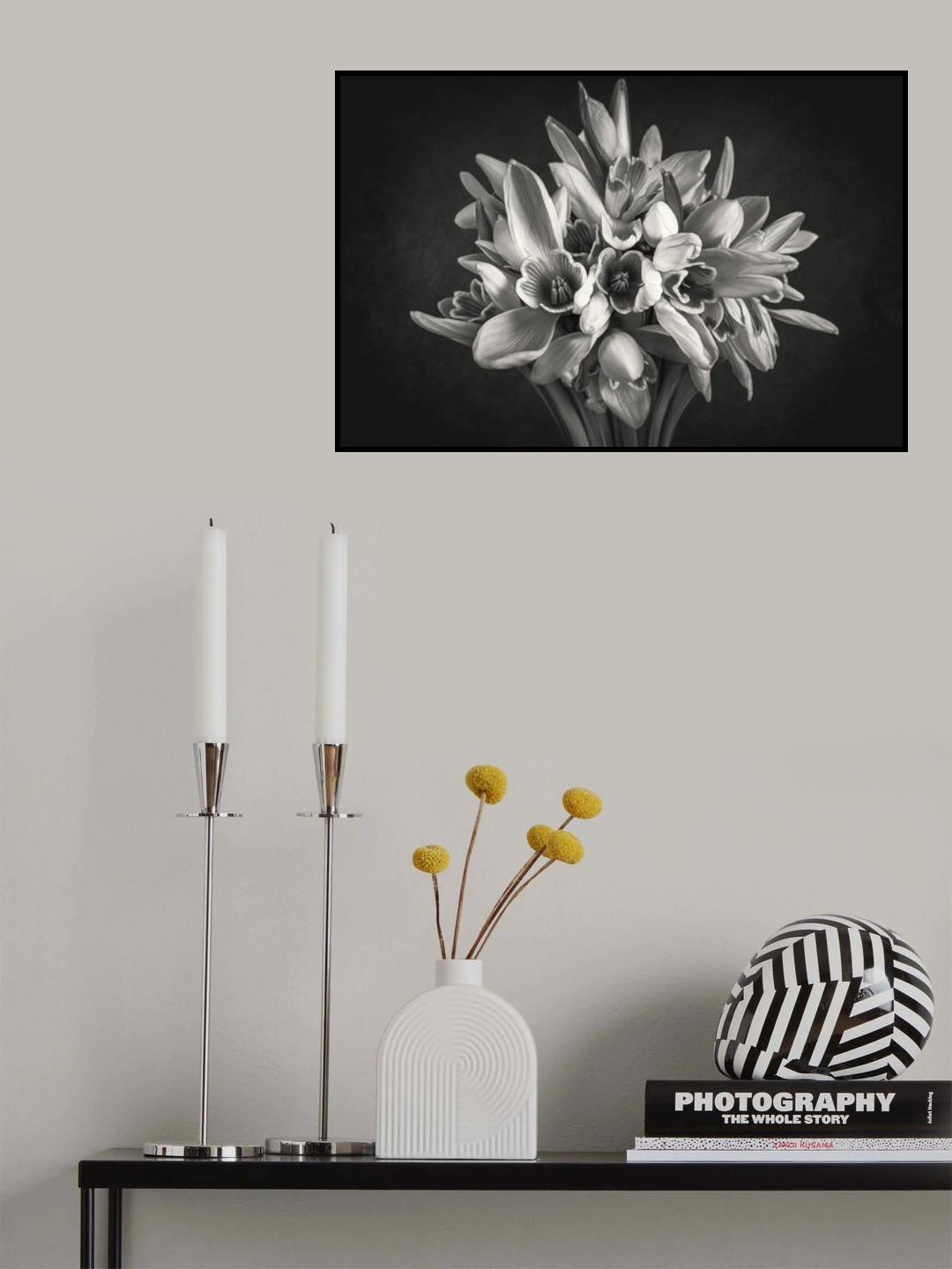 Suddenly From Nowhere Poster och Canvastavla