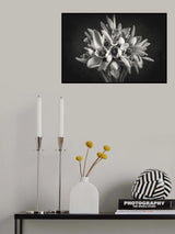 Suddenly From Nowhere Poster och Canvastavla