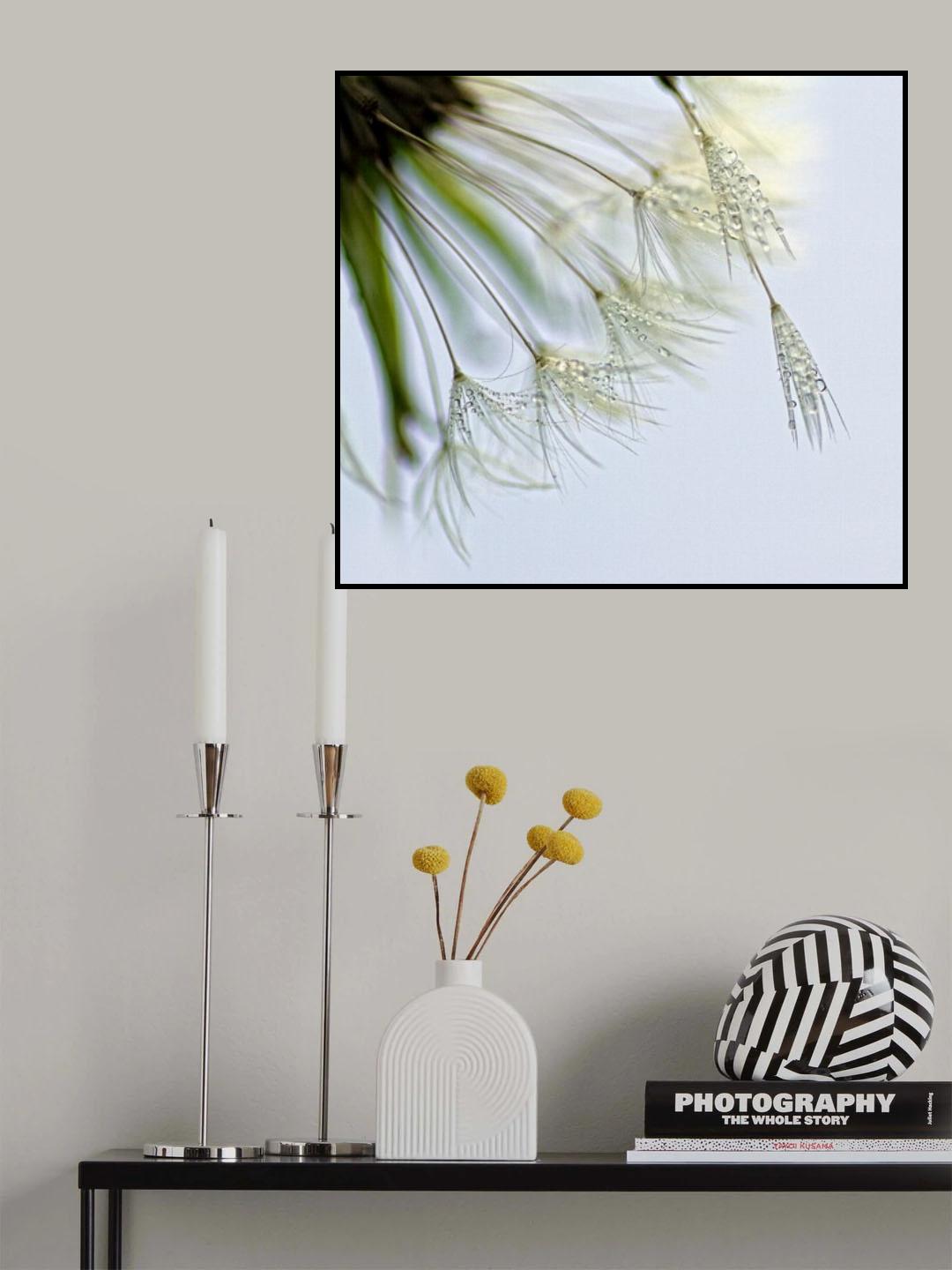 Crea Diem Poster och Canvastavla
