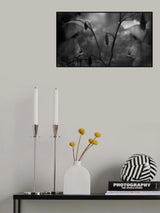 Friend... Poster och Canvastavla