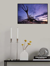 Morning colours Poster och Canvastavla
