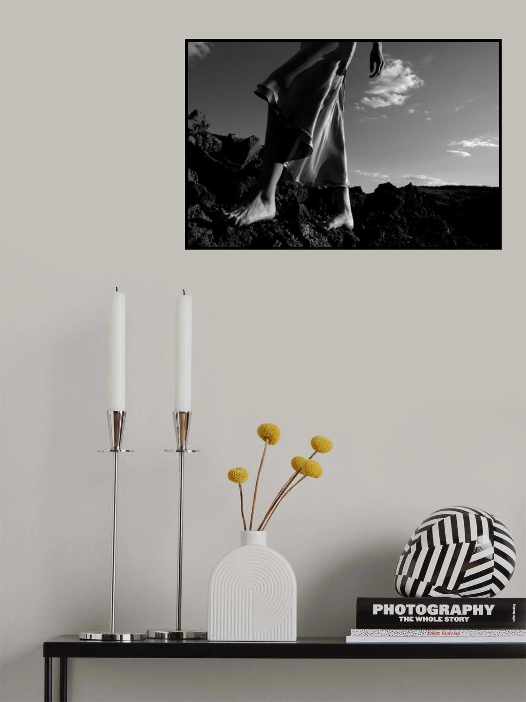 Searching for the roots Poster och Canvastavla