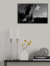 Searching for the roots Poster och Canvastavla