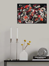 Ruby's Dream Romance Poster och Canvastavla