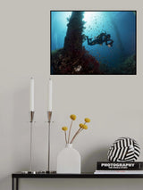 Under the bridge Poster och Canvastavla