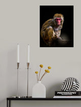 Reset button？ Poster och Canvastavla