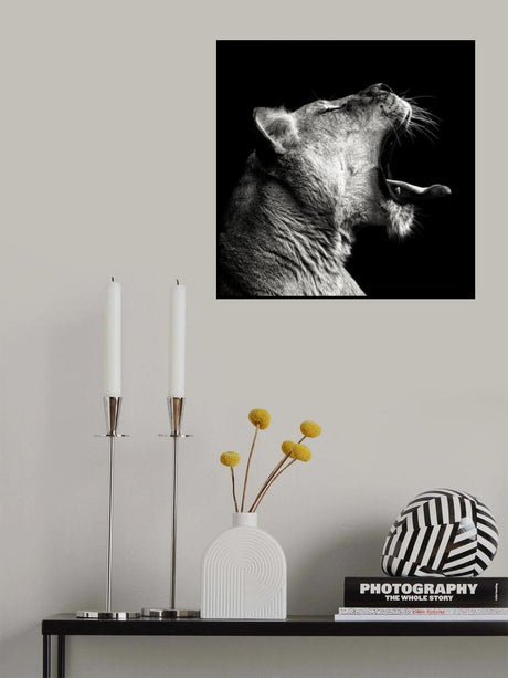 Primal Yawn Poster och Canvastavla