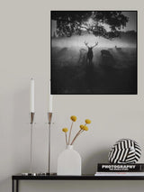 Robin Hood Woods Poster och Canvastavla