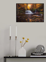 Secret Falls Poster och Canvastavla