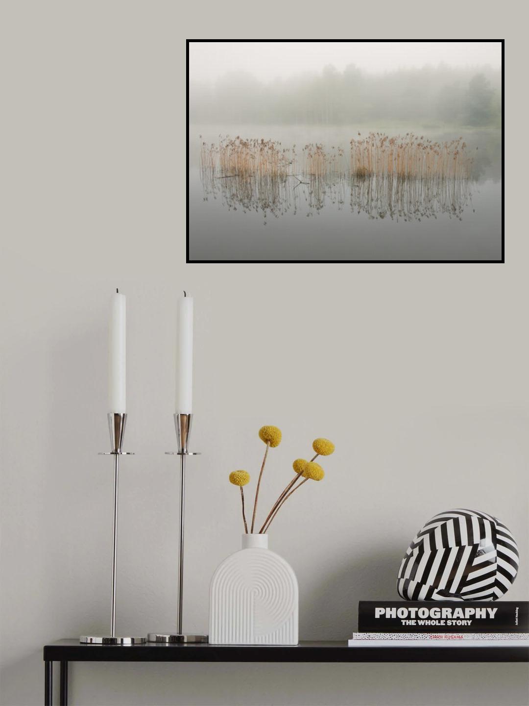 Misty morning Poster och Canvastavla