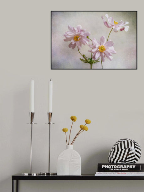 Anemones Poster och Canvastavla