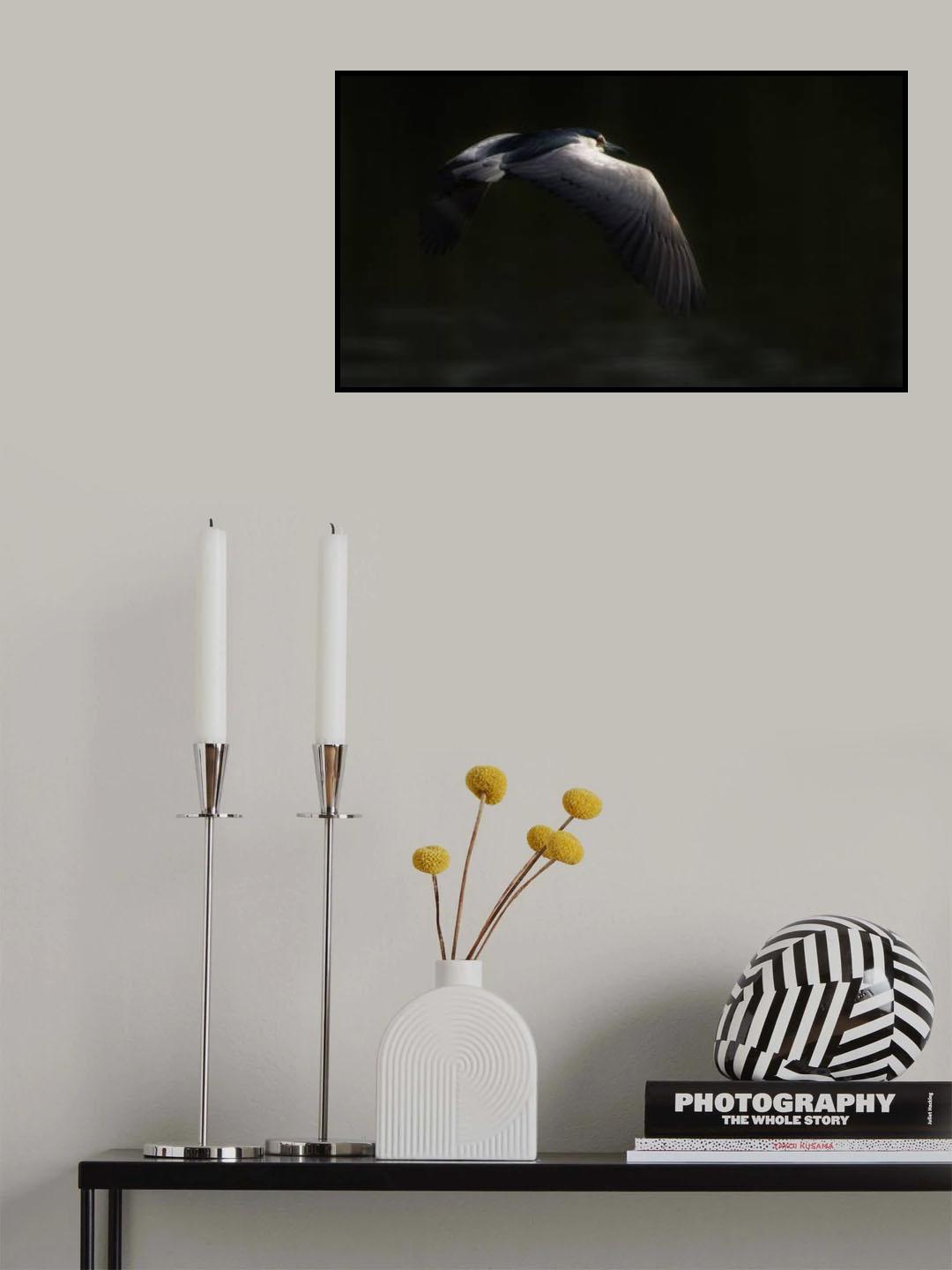 Night heron Poster och Canvastavla