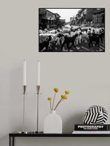 A Flock of Sheep in Rohet Village Poster och Canvastavla