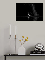 In the Night Poster och Canvastavla