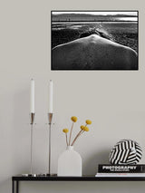 Back. Poster och Canvastavla