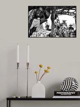 Herero Poster och Canvastavla