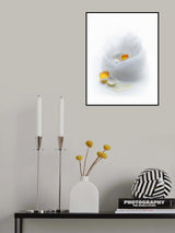 Eggs Poster och Canvastavla