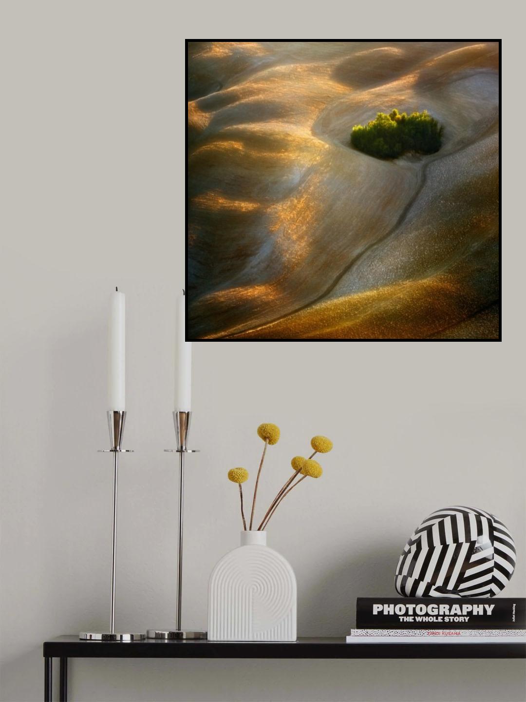 Fields... Poster och Canvastavla