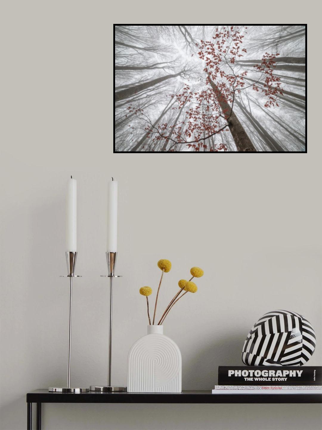 A wisp of fall Poster och Canvastavla