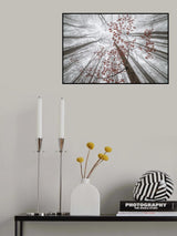 A wisp of fall Poster och Canvastavla