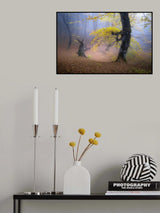 Fog in Mazichal forest Poster och Canvastavla