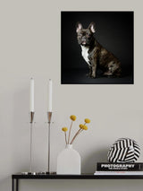 Max Poster och Canvastavla