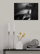 The palace stairs Poster och Canvastavla
