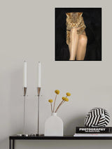 About forgiveness..... :) Poster och Canvastavla