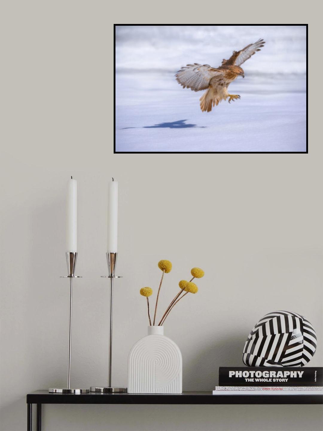 Ice visitor Poster och Canvastavla