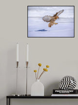 Ice visitor Poster och Canvastavla