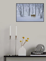 Deers' Walk in Snow Poster och Canvastavla