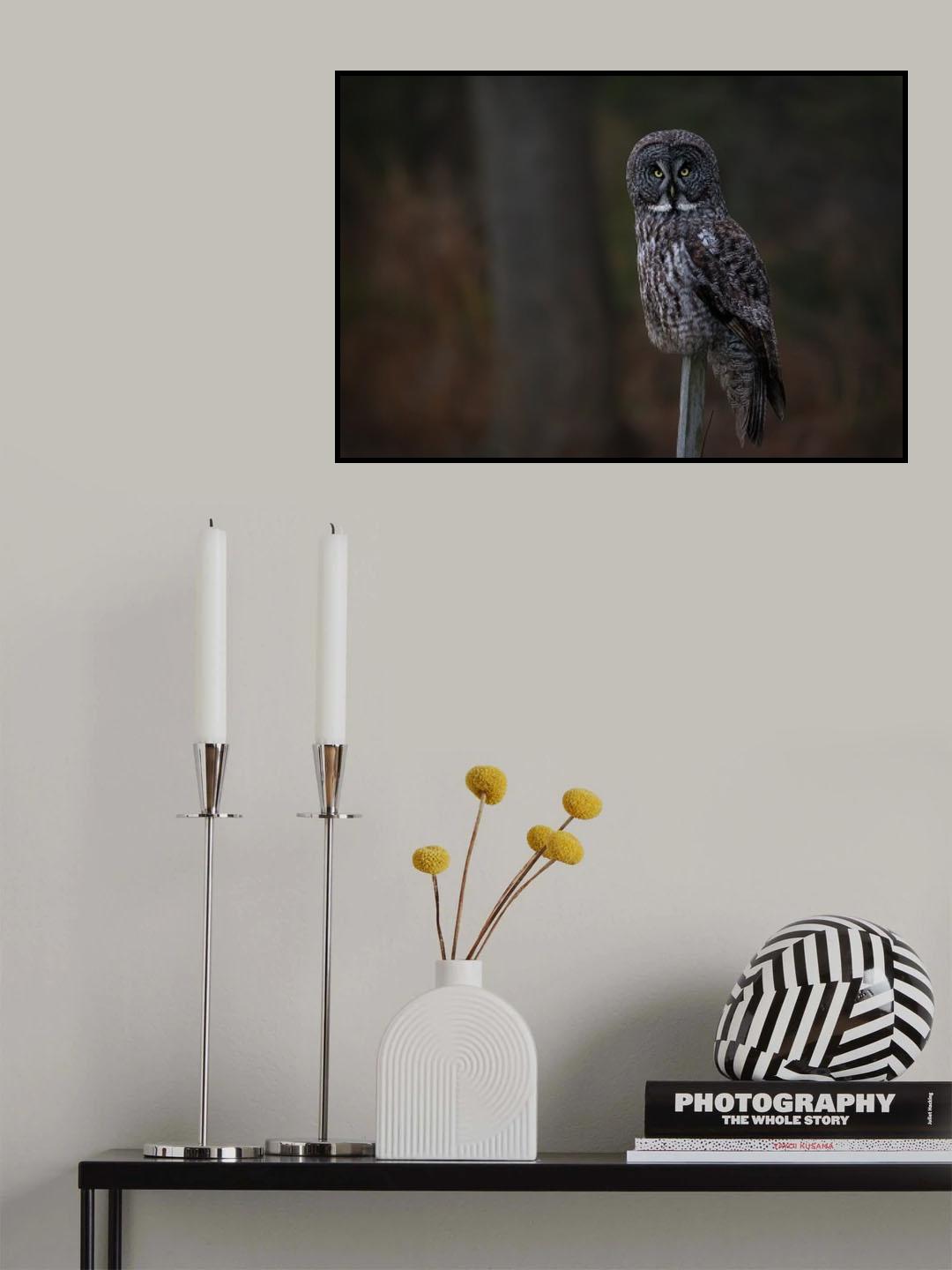 Queen of the forest Poster och Canvastavla