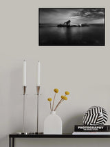 Siren Poster och Canvastavla