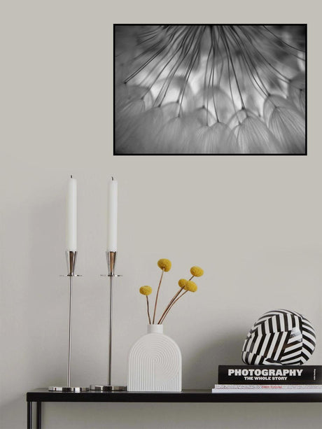 Poster och Canvastavla