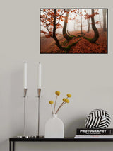 Fairytale Forest Poster och Canvastavla