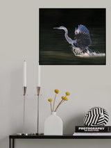 Taking Off Poster och Canvastavla