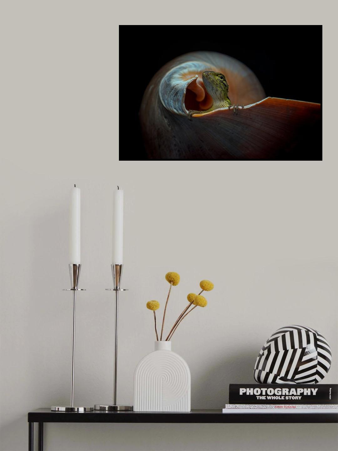 The Snail Home Poster och Canvastavla